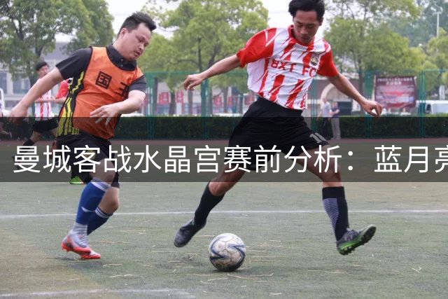 曼城客战水晶宫赛前分析：蓝月亮能否延续胜利势头？